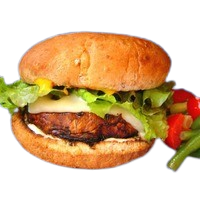 Vegetarian burger