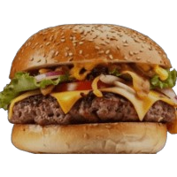 TeLoyo s burger